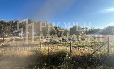 Parcela en Venta en Parcela 5.000 m2 en San Carlos - Ruta 5 Sur