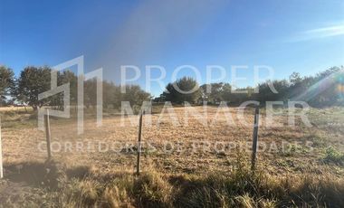 Parcela en Venta en Parcela 5.000 m2 en San Carlos - Ruta 5 Sur