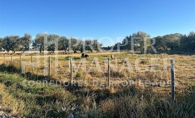 Parcela en Venta en Parcela 5.000 m2 en San Carlos - Ruta 5 Sur