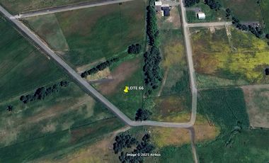 Parcela en Venta en Parcela 5.000 m2 en San Carlos - Ruta 5 Sur
