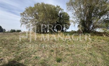 Parcela en Venta en Parcela 6.000 m2 - Proyecto Siloe