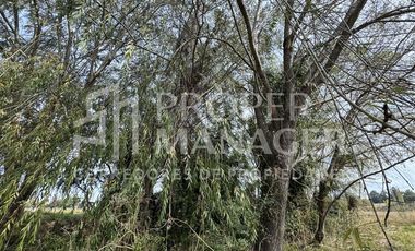 Parcela en Venta en Parcela 6.000 m2 - Proyecto Siloe