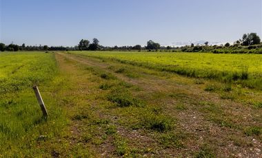 Agrícola en Venta en San Gregorio, El Paraiso