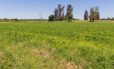 Agrícola en Venta en San Gregorio, El Paraiso