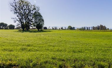 Agrícola en Venta en San Gregorio, El Paraiso