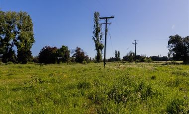 Parcela en Venta en San Gregorio, El Paraiso