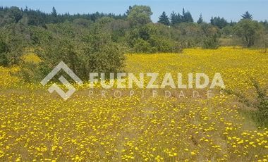 Sitio en Venta en Parral / Machicura