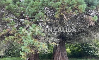 Local Comercial en Venta en Parcelación San Rafael