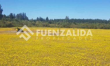 Parcela en Venta en Parral / Machicura