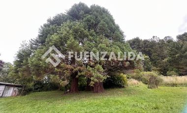 Local Comercial en Arriendo en Parcelación San Rafael