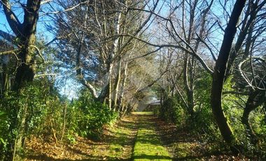 Sitio en Venta en Linea Nueva