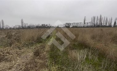 Agrícola en Venta en camino a Catillo