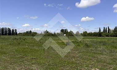 Agrícola en Venta en camino a Catillo