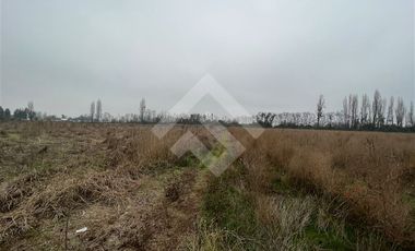 Agrícola en Venta en camino a Catillo