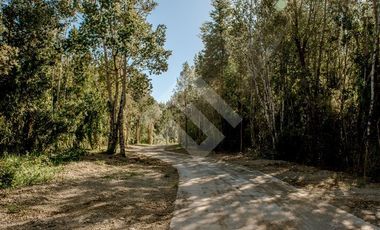 Parcela en Venta en Paraguay Chico