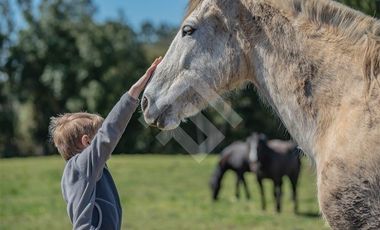 Parcela en Venta en Paraguay Chico