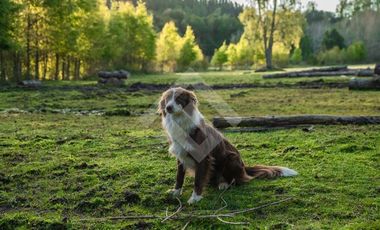 Parcela en Venta en Paraguay Chico