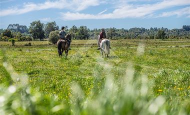 Parcela en Venta en Paraguay Chico