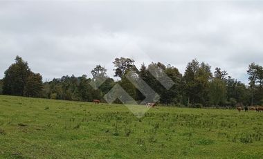 Agrícola en Venta en Parque Peumayen