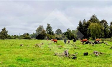 Agrícola en Venta en Parque Peumayen