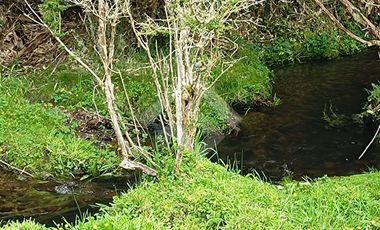 Agrícola en Venta en Parque Peumayen