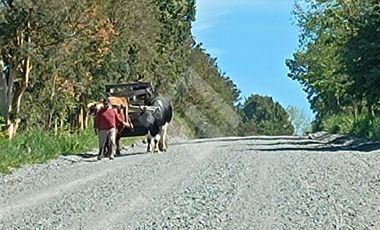 Parcela en Venta en Parque Peumayen