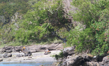 Parcela en Venta en Isla Cailin