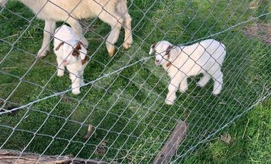 Sitio en Venta en Etchegaray