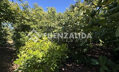 Casa en Venta en La Princesa