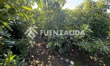 Casa en Venta en La Princesa