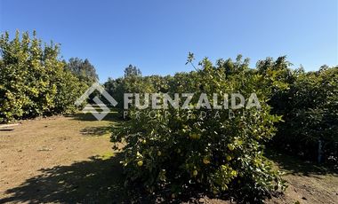 Casa en Venta en La Princesa