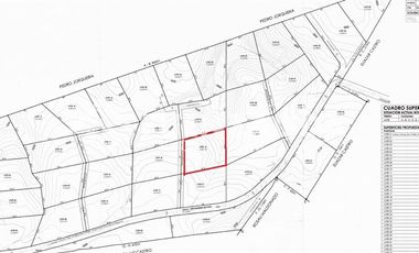 Sitio en Venta en PUERTECILLO / CAMINO VECINAL