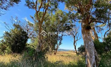 Terreno Construccion  en Venta en Quinchao Curaco de Velez