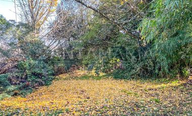 Sitio en Venta en Villuco, Chiguayante