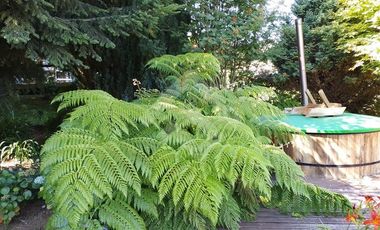 Casa en Venta en CONDOMINIO ALIHUEN BAHIACOIQUE