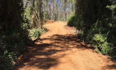 Sitio en Venta en SECTOR ALTO CENTINELA