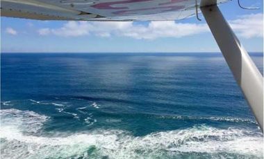 Sitio en Venta en SECTOR ALTO CENTINELA