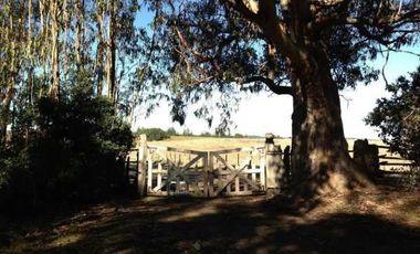 Sitio en Venta en SECTOR ALTO CENTINELA