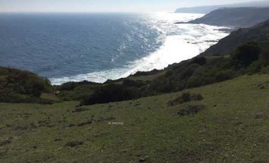 Sitio en Venta en SECTOR ALTO CENTINELA