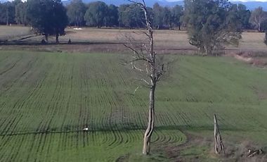 Terreno en venta en Lanco, Valdivia