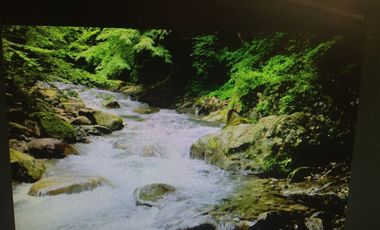 Terreno en venta en Lanco, Valdivia