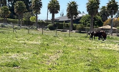 Parcela en Venta en Camino Alto Rumay