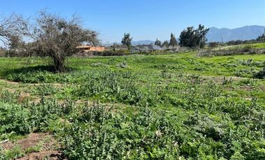 Parcela en Venta en Camino Alto Rumay