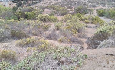 Sitio en Venta en El Milagro