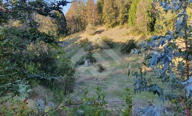 Sitio en Venta en CAMPO LOS AVELLANOS HUALAPULLI, PROVINCIA DE CAUTIN