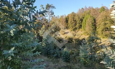 Sitio en Venta en CAMPO LOS AVELLANOS HUALAPULLI, PROVINCIA DE CAUTIN