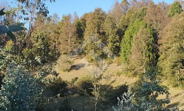 Sitio en Venta en CAMPO LOS AVELLANOS HUALAPULLI, PROVINCIA DE CAUTIN
