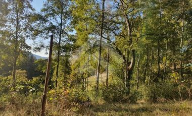 Sitio en Venta en CAMPO LOS AVELLANOS HUALAPULLI, PROVINCIA DE CAUTIN
