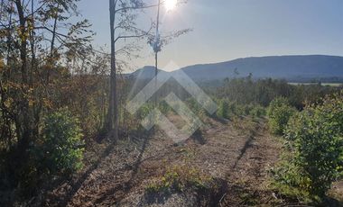 Sitio en Venta en CAMPO LOS AVELLANOS HUALAPULLI, PROVINCIA DE CAUTIN
