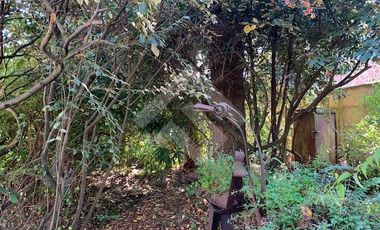 Sitio en Venta en imperial con san francisco